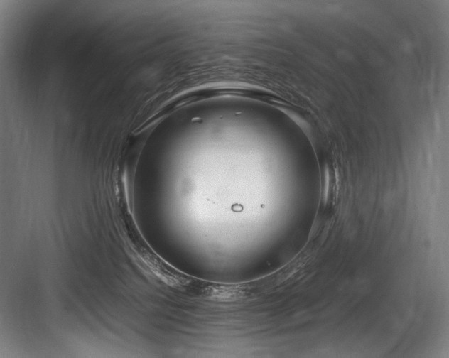 X0000083660088200702121227