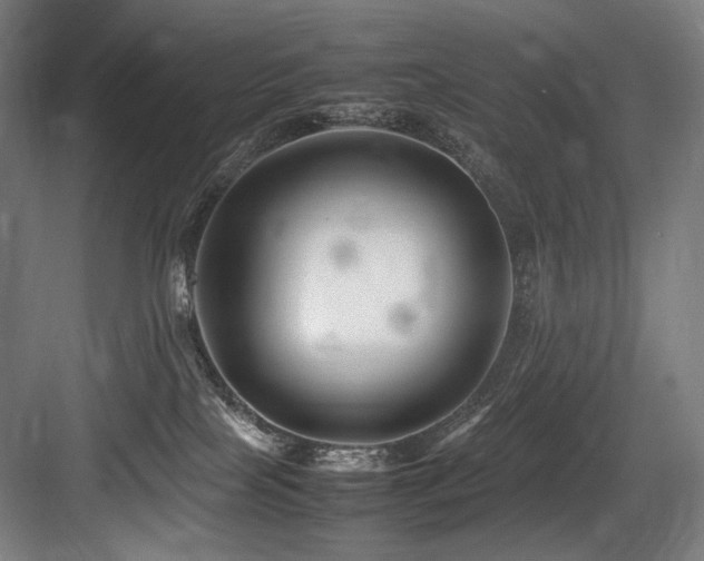X0000083660089200702121227