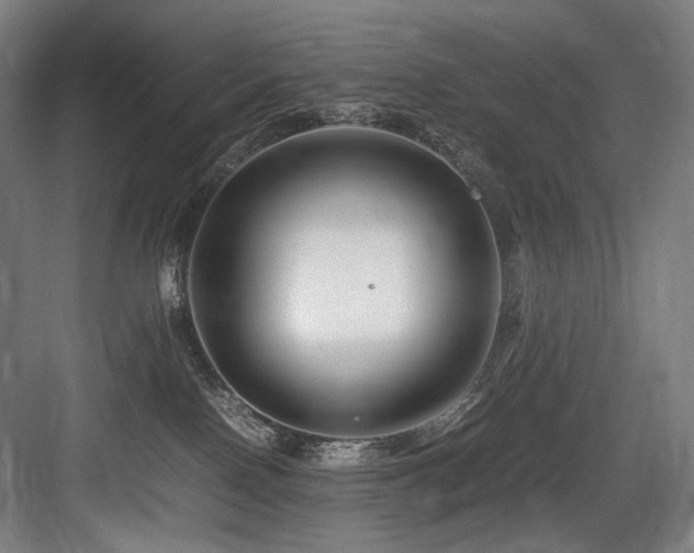 X0000083660090200702121227