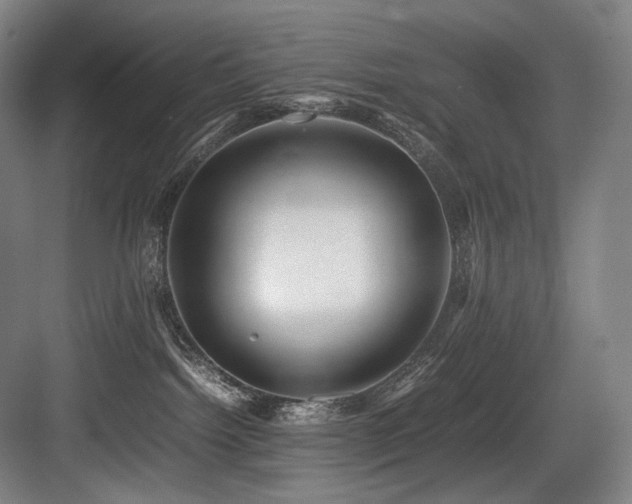 X0000083660092200702121227