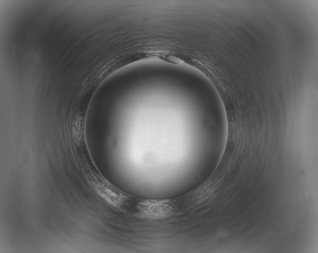 X0000083660093200702121227