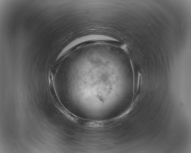 X0000083660094200702121227