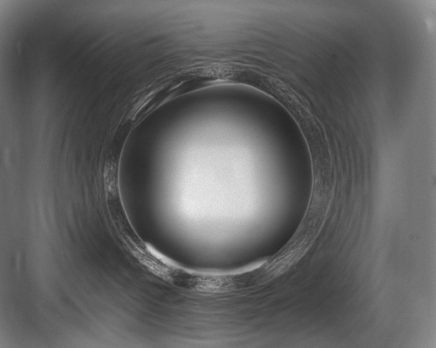 X0000083660096200702121227