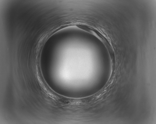 X0000083660097200702121226