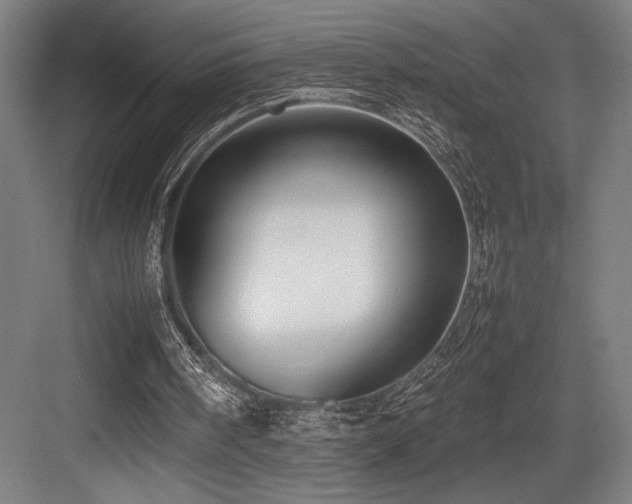 X0000083660098200702121226