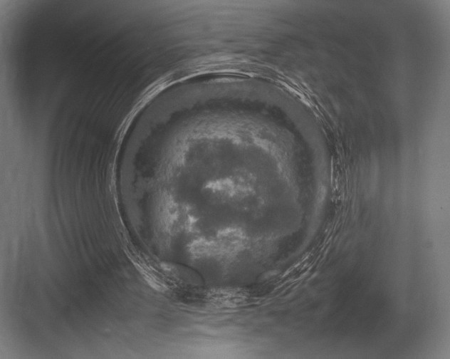 X0000083660099200702121226