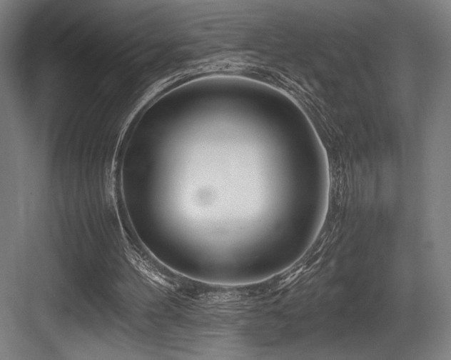 X0000083660100200702121226