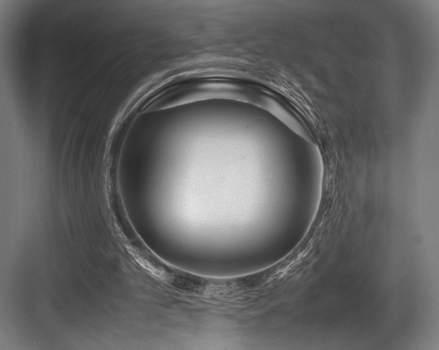 X0000083660101200702121226