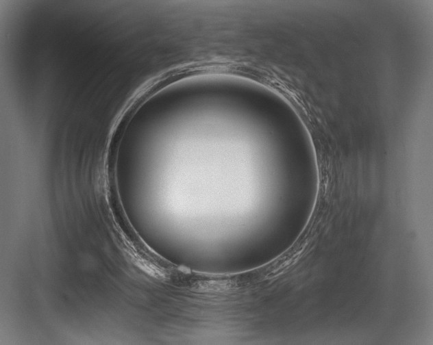 X0000083660102200702121226