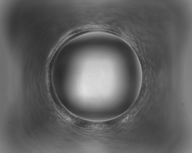 X0000083660103200702121226