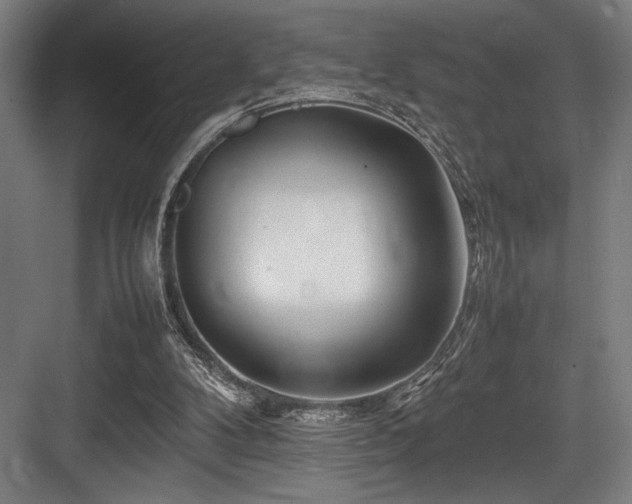 X0000083660104200702121226