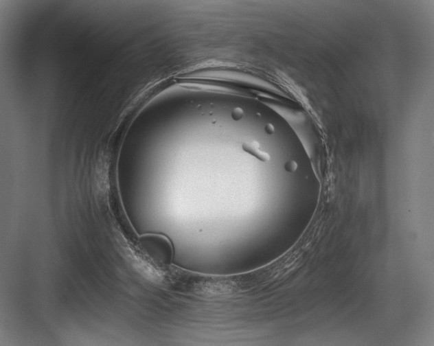 X0000083660106200702121226
