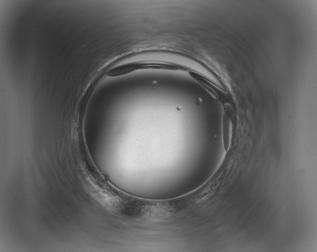 X0000083660107200702121226