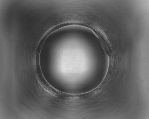 X0000083660108200702121226