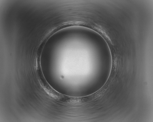 X0000083660110200702121226
