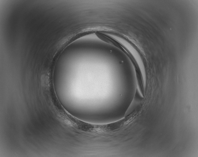 X0000083660111200702121226
