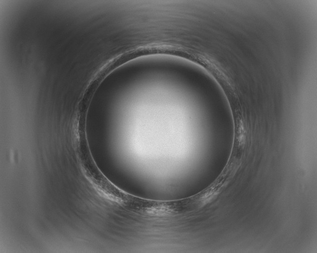 X0000083660112200702121226