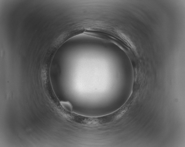 X0000083660113200702121226