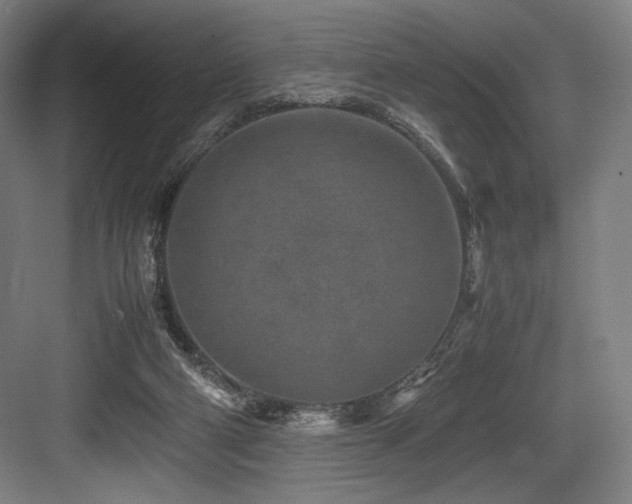X0000083660114200702121226
