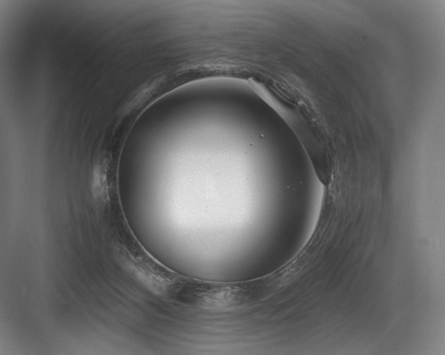 X0000083660116200702121226