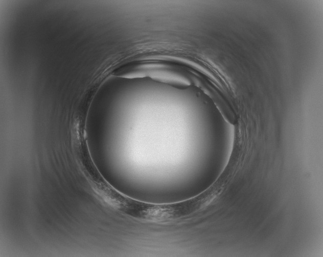 X0000083660117200702121226