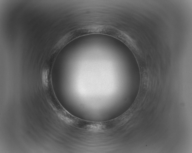 X0000083660118200702121226