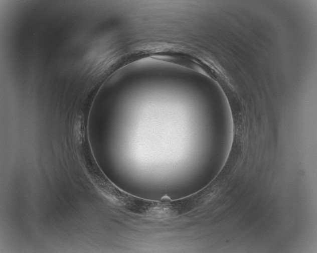 X0000083660119200702121226