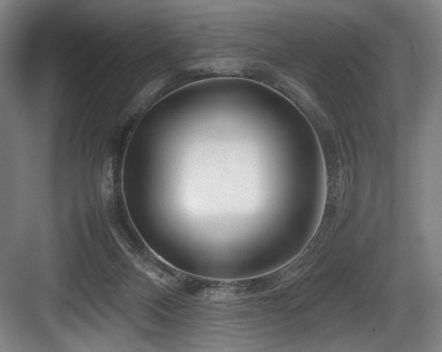 X0000083660120200702121226