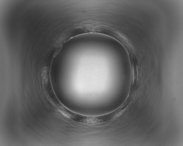 X0000083660121200702121226