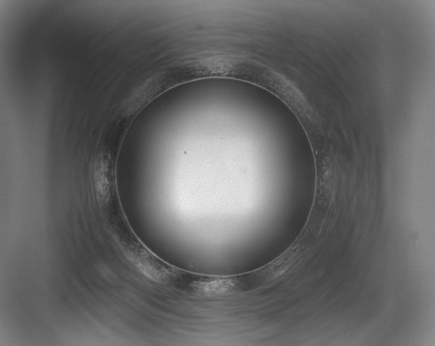 X0000083660122200702121226