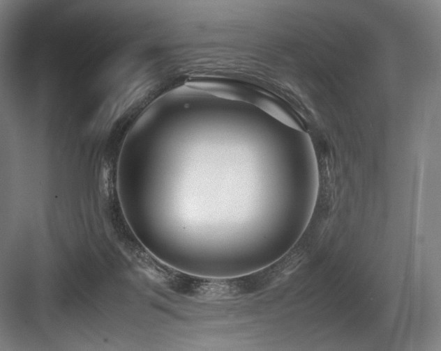 X0000083660123200702121226
