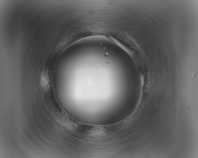 X0000083660124200702121226