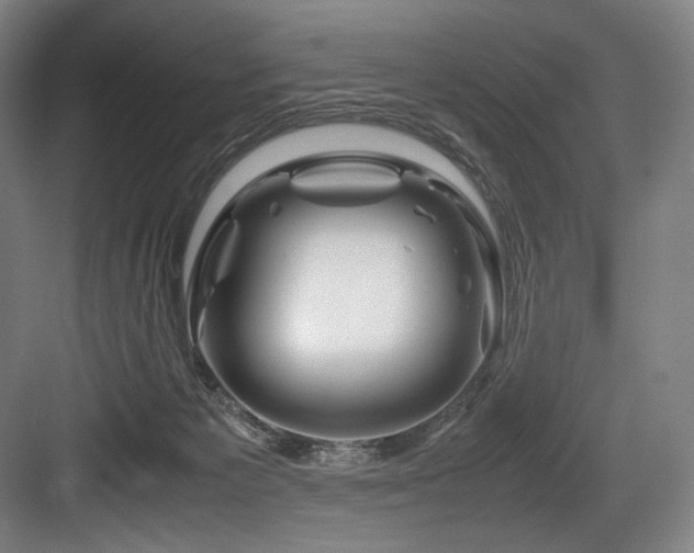 X0000083660125200702121226