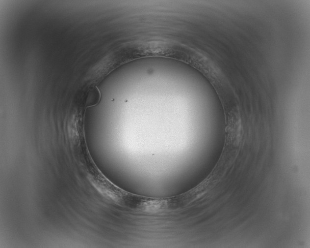 X0000083660126200702121226