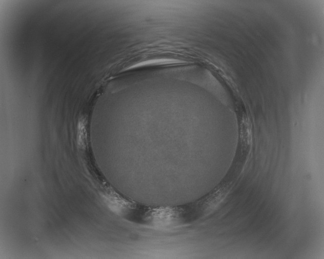 X0000083660127200702121226