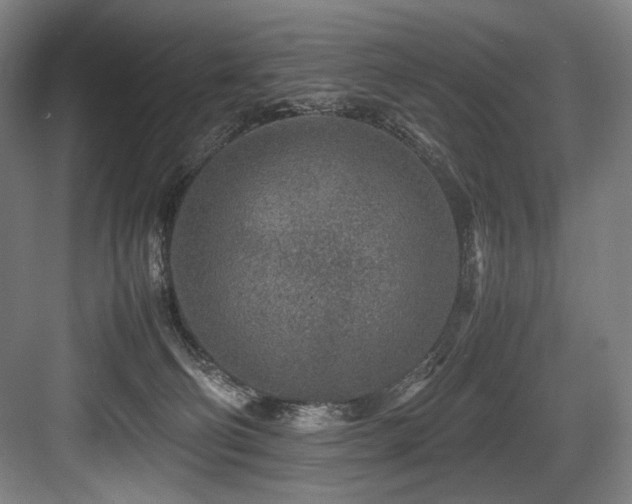 X0000083660130200702121226