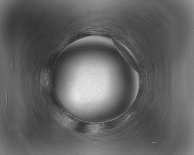 X0000083660131200702121226