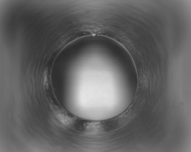 X0000083660132200702121226