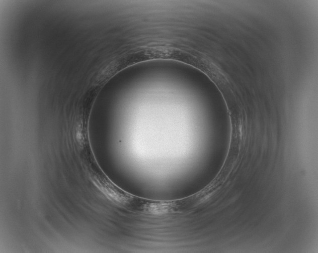 X0000083660134200702121226