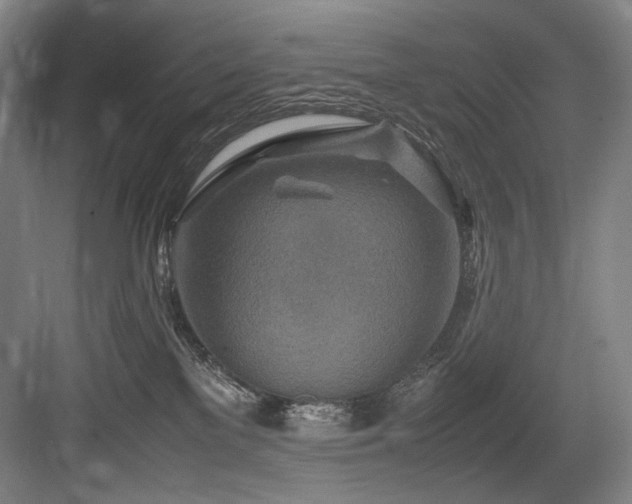 X0000083660137200702121226