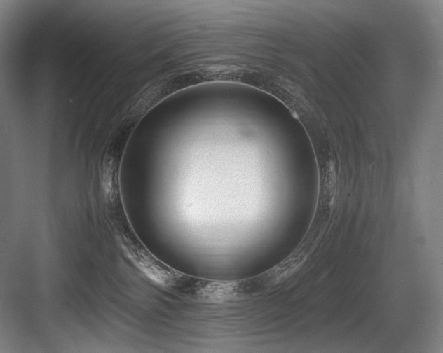 X0000083660138200702121226