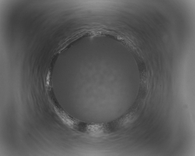 X0000083660139200702121226