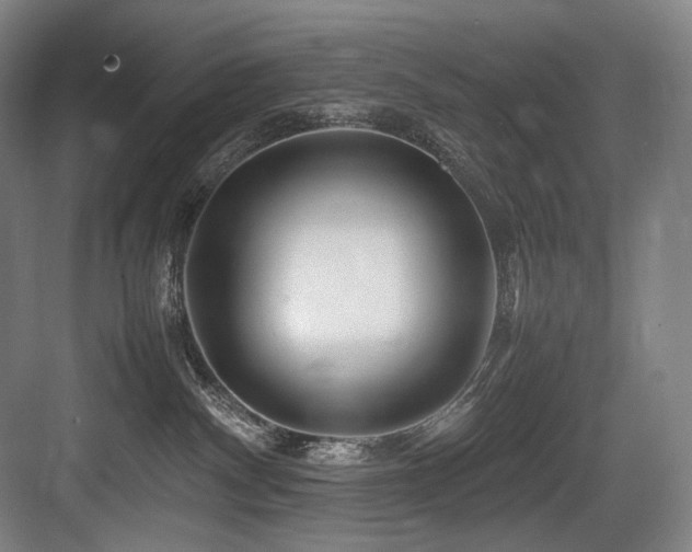 X0000083660140200702121225