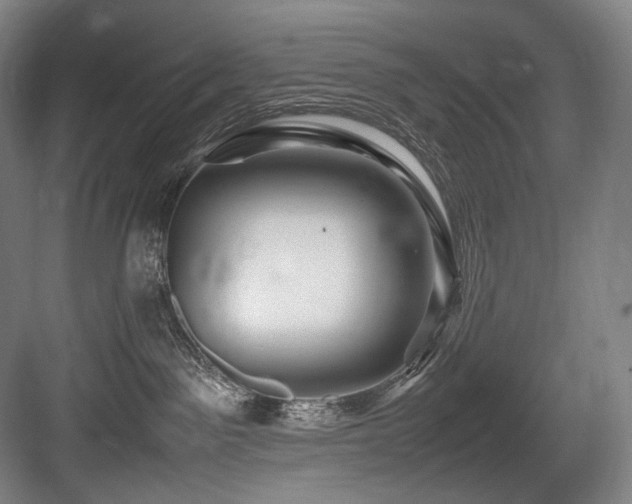 X0000083660141200702121225