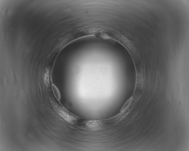 X0000083660142200702121225
