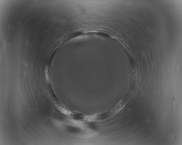 X0000083660143200702121225