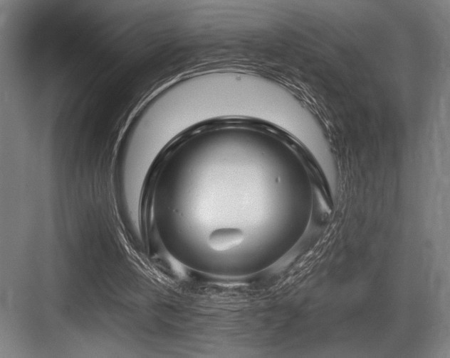 X0000083660146200702121225