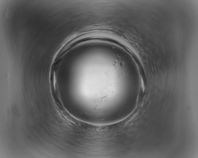X0000083660148200702121225