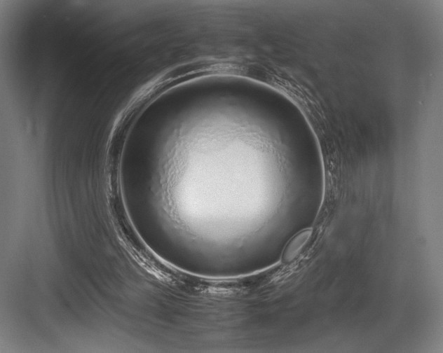 X0000083660149200702121225