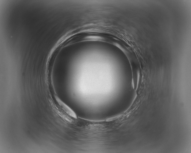 X0000083660150200702121225
